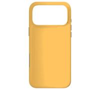 Warm Pumpkin Orange Minimal Autumn Neutral Solid Color Case for iPhone 17 Pro Max