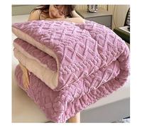 Warm Winter Nights Double Duvet Fleece Thick Bed Blanket Warm Thick Quilt Soft Plush Velvet Blanket Double-Sided Quilt For All Seasons