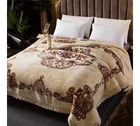 Warm Winter Weighted Blanket King Size,Korean Mink Blankets,2 Ply Reversible Raschel Bed Blanket for Bed And Couch,200 * 230cm4kg