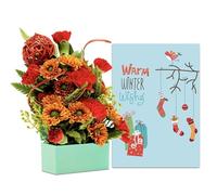 Warm Winter Wishes Christmas Greeting Card, including your personalised message, with a Christmas Red Miniature Arrangement gift wrapped and delivered in a Gift Box.