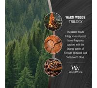 WoodWick Trilogy Warm Woods Ellipse Candle