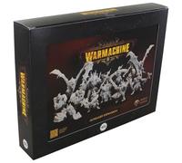 Warmachine: Orgoth Sea Raiders Auxiliary Expansion