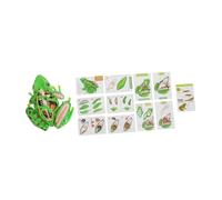 Warmhm 3D Frog Dissection Model Kit Educational Anatomy Toy with Removable Parts for Kids Realistic Frog Anatomy for Hands-On Learning and Science Teaching