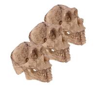 Warmhm 3pcs Mini Human Skull Resin Decor Sculpture for Reptile Terrarium Lizard Gecko Snake Tank Landscaping Model