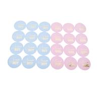 Warmhm 72pcs Shower Gender Reveal Stickers Self-Adhesive Team Boy Girl Labels for Party Decorations and Voting Games Stylish Decals for Food Bags and Boxes Fun Gender Reveal Supplies