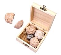Warmhm Gemstone Mining Kit for Educational Gem Digging Experience Safe Materials for Birthdays Family Learning Explore Unique Gems Geology Fun