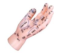 Warmhm Hand Reflexology Model Detailed Simulation Educational Teaching Aid for Traditional Chinese Medicine Schools Clinics Massage Therapy Practice