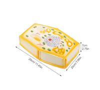 Warmhm Middle School Plant Cell Model Educational Enlarged Anatomy Biology Teaching Aid School Accessory for Classroom Study