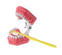 Warmhm Realistic Educational Teeth Brushing Model with Toothbrush for Oral Structure Teaching Aid for Home and Kindergarten Use Easy to Clean Surface for Early Oral Hygiene Learning and