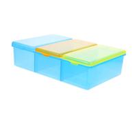 Warmhm Thermometer Organizer Box with Color Coded Compartments Removable Inner Box for Easy Cleaning Integrated Storage Soaking and Drying Case Closure for Hospital Home Use