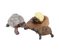 Warmhm Tortoise Growth Cycle for Realistic Animal Statues Educational Cognitive Model Nature Learning Figurines for Early Childhood Development and Gift