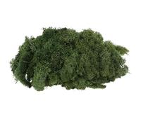 Warmiehomy Fake Moss 100g Artificial Moss for Indoor Outdoor Plant Pots, Natural Decorative Dark Green Fuax Mosses for DIY Crafts, Weddings, and Home Décor