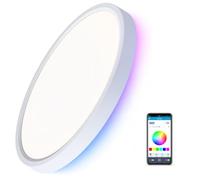 Warmiehomy RGB Ceiling Light,30cm Smart LED Ceiling Lights with Bluetooth Speaker,24W Flush Mount Light Fixture with Remote Control for Bedroom Kidroom Living Room,Round