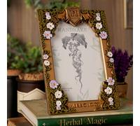 Warner Bros Harry Potter Herbology Frame in Gold Warner Bros Gold