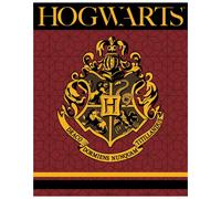 Warner Bros Harry Potter Hogwarts Premium Coral Blanket Version 2 - 120 x 150 CM