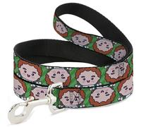 Warner Bros. Holiday Movies Pet Leash, Dog Leash, Elf Chibi Buddy Face Flip Stripe Greens, 6 Feet Long 1.0 Inch Wide