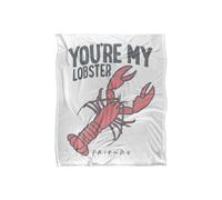 Warner Brothers Friends 152x127cm Rachel & Ross Silky Touch Super Soft Throw Blanket in White | Size: 152x127 cm Warner Brothers White 152x127 cm