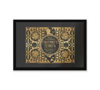 Warner Brothers Official Fantastic Beasts 3 - The Secrets Of Dumbledore Newt Scamander Entrance Mat 40Cm X 60Cm Dimension, Durable, Indoor Only