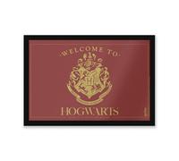 Warner Brothers Official Harry Potter Welcome To Hogwarts Entrance Mat 40Cm X 60Cm Dimension, Durable, Indoor Only