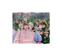 Warner Brothers The Wizard Of Oz Officially Licensed Silky Touch Super Soft Throw Blanket 152 x 127 cm in White Warner Brothers White 152 x 127 cm