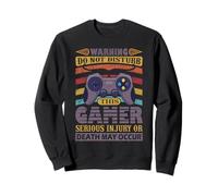Warning Do Not Disturb This Gamer, Funny Video Gaming Lover Sweatshirt