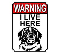 WARNING I LIVE HERE METAL GATE SIGN ST BERNARD DOG THEME 200MM X 150MM (1818H1)