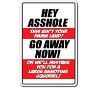 Warning plaque wall decor hey a hole this aint your damn land go away trespassing beware sign decoration sign road sign business sign aluminum metal tin sign 8×12 INCH