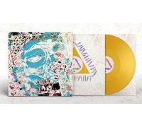 Warpaint Fool (Andrew Weatherall Mix) Double LP Vinyl NEW