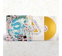 WARPAINT / Fool (Andrew Weatherall Remixes) (Coloured Vinyl) (RSD 2021)