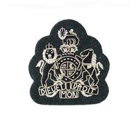 Warrant Officer Class 1 (WO1) - Royal Arms - Rank Badge - The Rifles - Infantry - British Army Insignia Badge