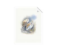 Warren Reed - Designer Barn Ano Owls Watercolour Unframed Art Print | Size: W12" x H16" Warren Reed - Designer Multicolor W12" x H16"