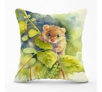 Warren Reed - Designer Dormouse Watercolour Cushions 45cm x 45cm