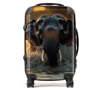 Warren Reed Designer Finn Wilder: 00016 Suitcase - Cabin