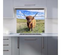 Warren Reed - Designer Premium Highland Cow In Summer Kitchen Splashback 6mm Toughened Glass Kitchen Splashback - Heat Resistant Splashback for Kitchens, Perfect for Cookers and Hobs, Polished Edges