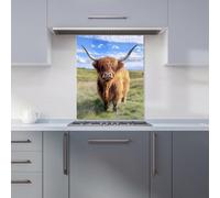 Warren Reed Designer Highland Cow In Summer Kitchen Splashback