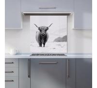 Warren Reed Designer Lone Highland Cow Kitchen Splashback