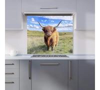 Warren Reed - Designer Premium Highland Cow In Summer Kitchen Splashback 6mm Toughened Glass Kitchen Splashback - Heat Resistant Splashback for Kitchens, Perfect for Cookers and Hobs, Polished Edges