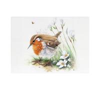 Warren Reed - Designer Robin And Daisies Watercolour Glass Chopping Board, Brown