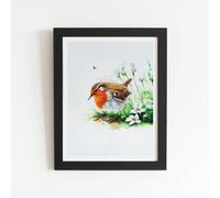 Warren Reed - Designer Robin & Daisies Watercolour Framed Art Print in Black | Size: W20" x H30" Warren Reed - Designer Black W20" x H30"