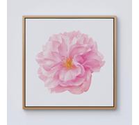 Warren Reed - Designer Single Cherry Blossom Framed Canvas in Light Brown | Size: W30" x H30" Warren Reed - Designer Light Brown W30" x H30"