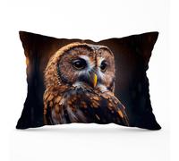 Warren Reed - Designer Tawny Owl Face Splashart Dark Background Cushions in Brown | Size: 45 cm x 45 cm Warren Reed - Designer Brown 45 cm x 45 cm