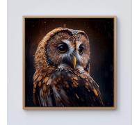 Warren Reed - Designer Tawny Owl Face Splashart Dark Background Framed Canvas in Light Brown | Size: W16" x H16" Warren Reed - Designer Light Brown W16" x H16"