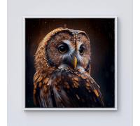 Warren Reed - Designer Tawny Owl Face Splashart Dark Background Framed Canvas in Off-White | Size: W16" x H16" Warren Reed - Designer Off-White W16" x H16"