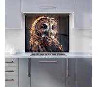Warren Reed - Designer Tawny Owl Face Splashart Dark Background Kitchen Splashback in Brown | Size: 700mm x 750mm Warren Reed - Designer Brown 700mm x 750mm