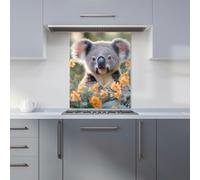 Warren Reed Koala Bear in Field Glass Kitchen Splashback - W600mm x H750mm