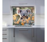 Warren Reed Koala Bear in Field Glass Kitchen Splashback - W900mm x H750mm