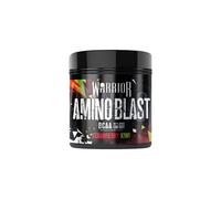 Warrior Amino Blast 270g - BCAA Powder - Branched Chain Amino Acids Supplement, Intra Workout & Recovery, Energy Drink - 30 Servings (Strawberry Kiwi)