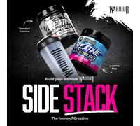Warrior Protein Shaker Bottle, 600ml with Wire Mixball Blender -