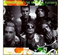 Warrior Soul - Space Age Playboys