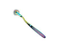 Wartenberg Pin Wheel Neuro Sensory Wheel Multi Raionbow Colour